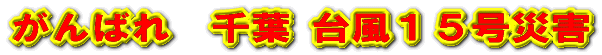 東北
